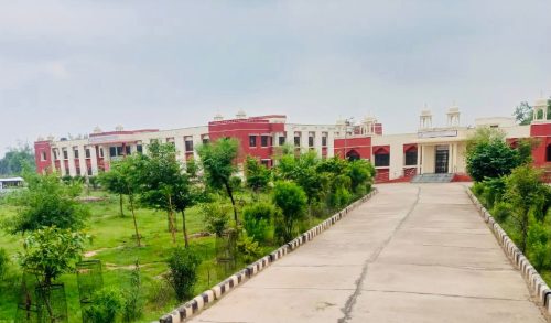 WhatsApp Image 2023-12-29 at 1.12.54 PM